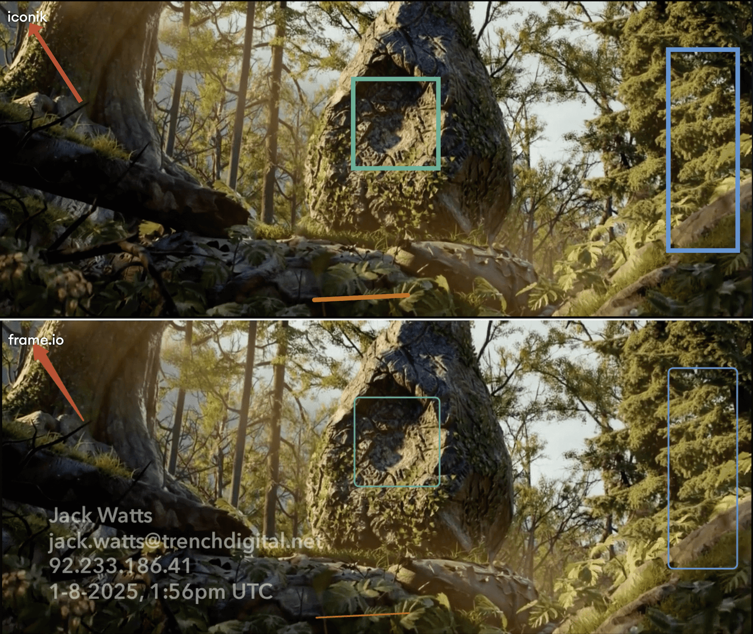 Image - Freeform Compare